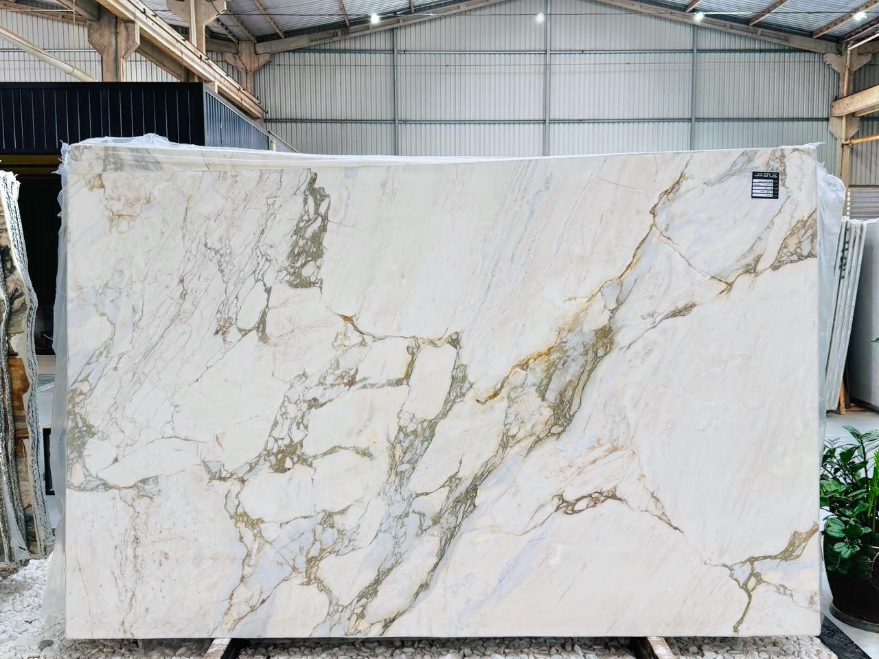 ***NEW ARRIVAL*** Macchia Oro 2cm Polished Marble/Dolomite (Bundle 1) #33 (125×77) Group J